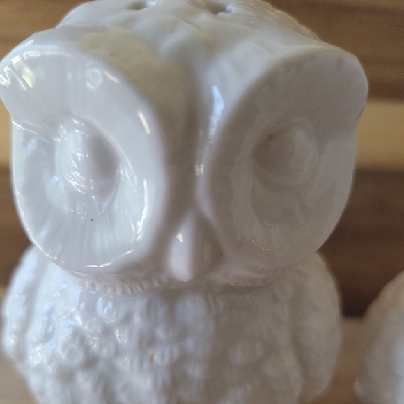 White Ceramic Owl Salt and Pepper Larger Shaker Set - Picture 6 of 8